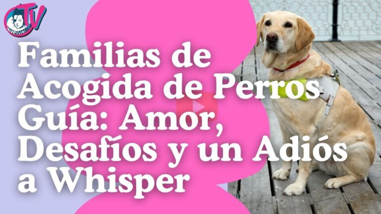 Normativas sobre Mascotas en Espacios P&uacute;blicos de Pinto