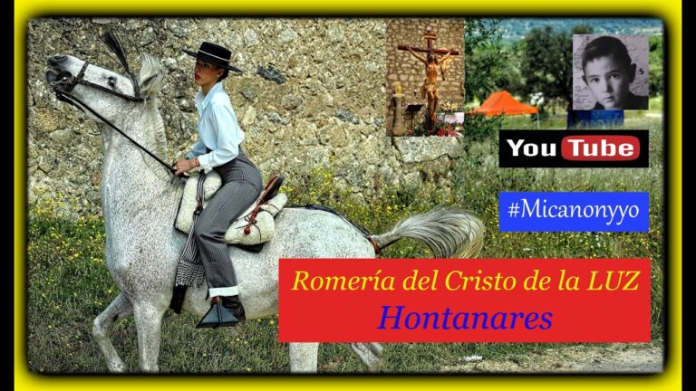 Actividades Culturales en San Mart&iacute;n de la Vega