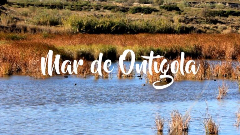 Rutas de Senderismo en Ont&iacute;gola: Explorando sus Caminos