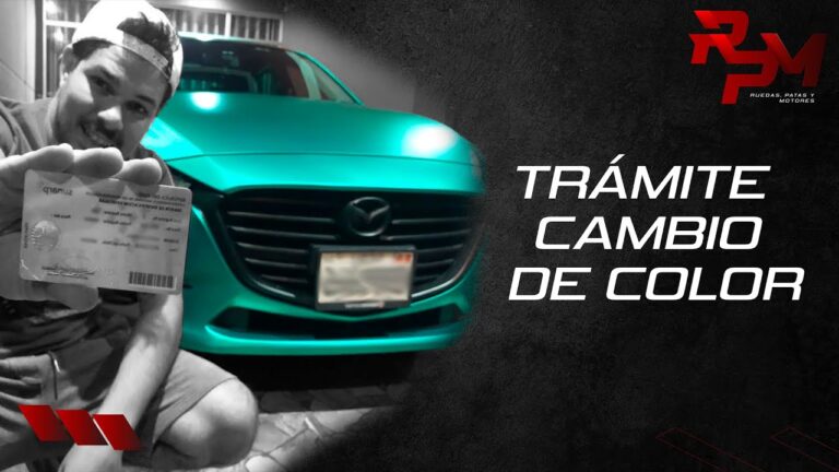Gu&iacute;a para Registrar un Coche en Pinto