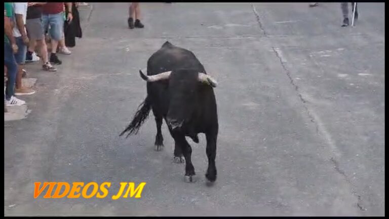 Ferias Destacadas en Sese&ntilde;a